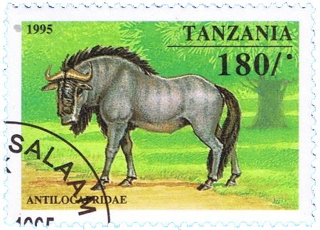 gnu stamp